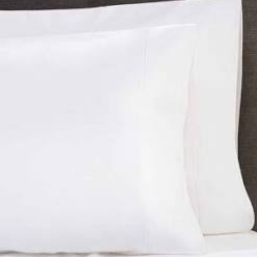 1100 thread count pillowcase nwot